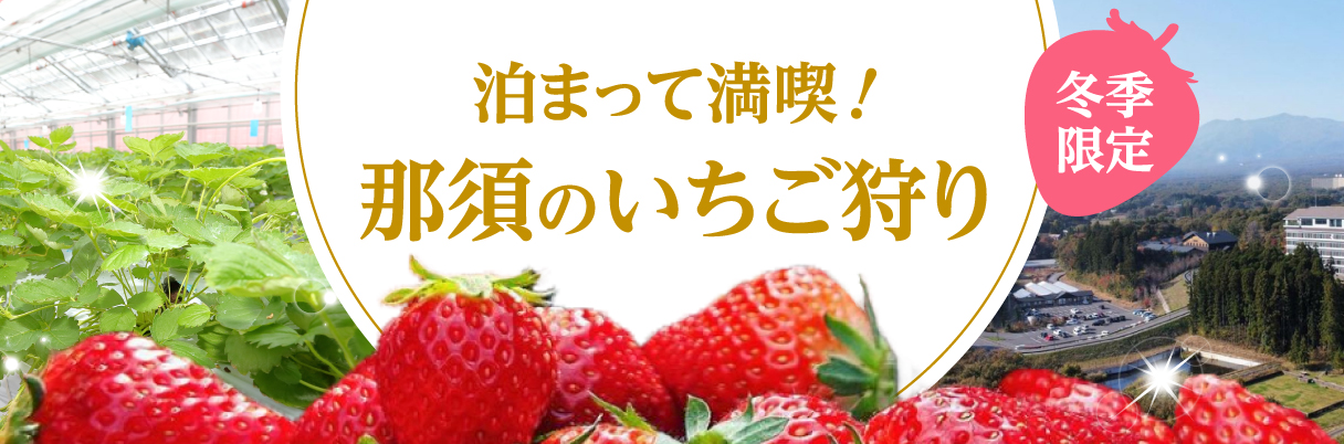 泊まって満喫!那須のいちご狩り